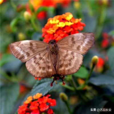 天剑奇缘手游九游版下载